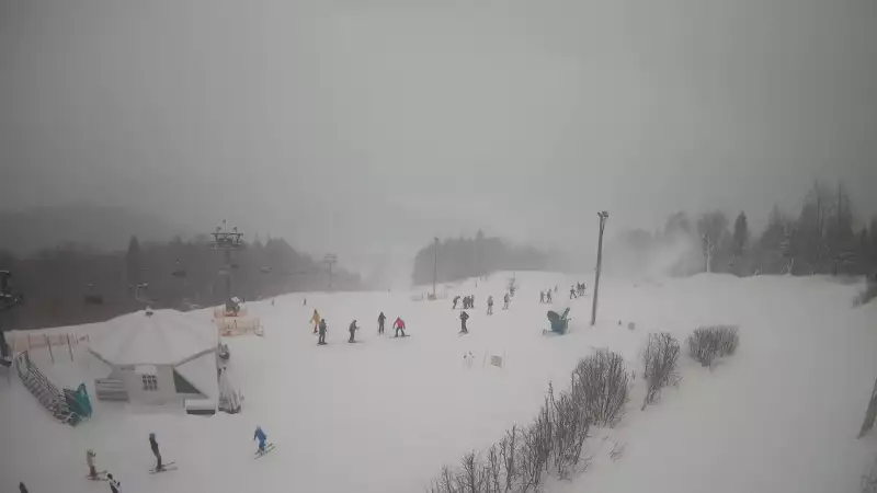 KAMERA LIVE z rodzinnego ośrodka narciarskiego STOK w Wiśle.