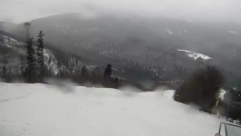 Mosorny Groń - widok z kamery na stok