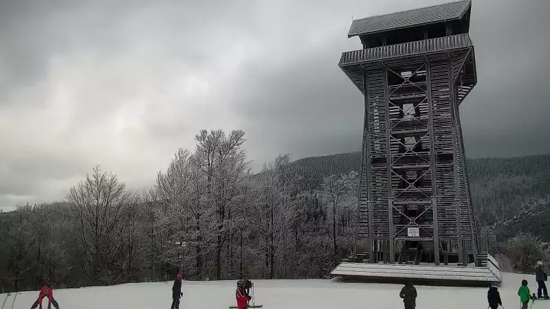 Mosorny Groń - widok z kamery na stok