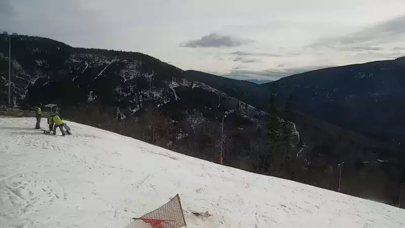 Mosorny Groń - widok z kamery na stok