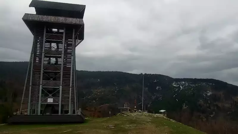 Mosorny Groń - widok z kamery na stok