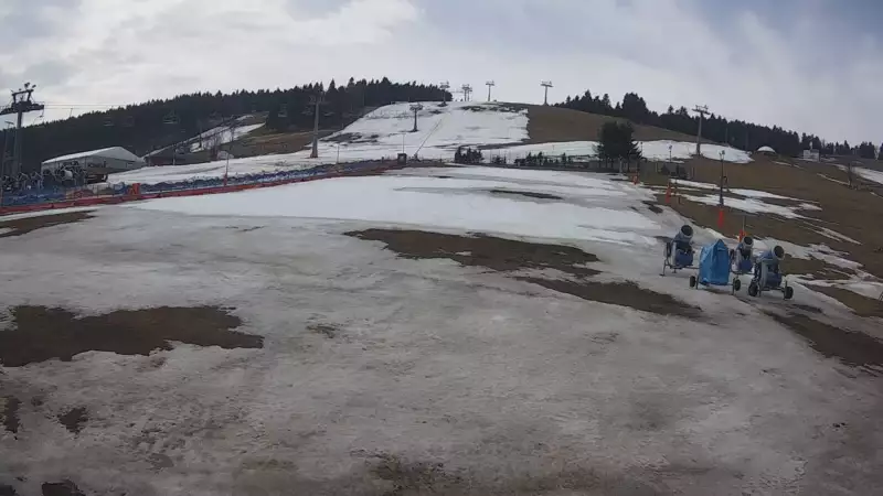 Widok na stok BARTUŚ W ZIELEŃCU - KAMERA LIVE