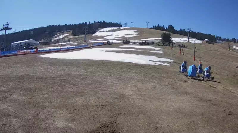 Widok na stok BARTUŚ W ZIELEŃCU - KAMERA LIVE