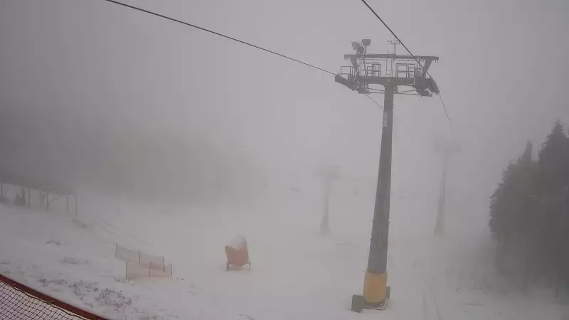 Widok na Zieleniec Sport Arena - KAMERA LIVE