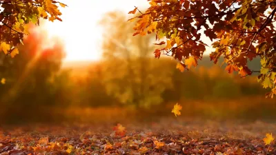 Zerknij na kolorową jesień w górach, zanim zimowa aura przykryje je śniegiem.