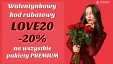 Walentynkowe zniżki -20% na usługi PREMIUM WebCamera.pl już aktywne.