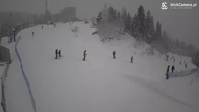 Alpaki, karczma i stok w jednym miejscu? Skolnity Ski&Bike Park zimą