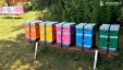 8 sierpnia - Wielki Dzień Pszczół. Odwiedziliśmy pasiekę z kamerą na żywo