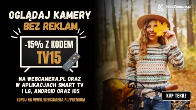Złota polska jesień na żywo w oku kamery bez reklam