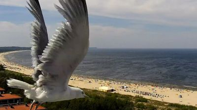 Zdjęcia z kamer nad morzem bałtyckim.