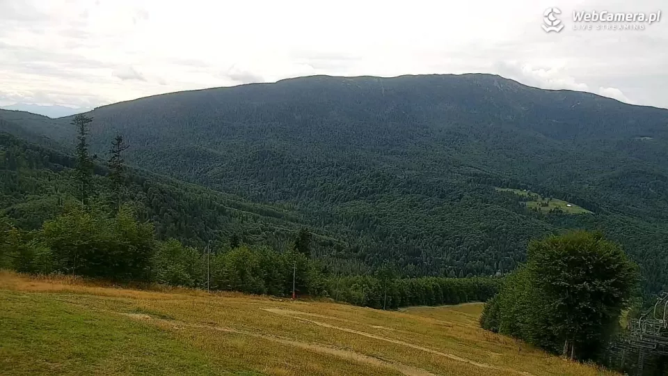 zdjęcie z kamery na Mosorny Groń w Zawoi 