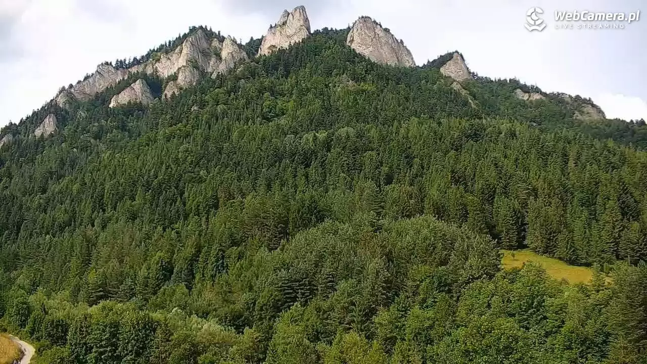  Ujęcie z kamery na zielone góry i szczyt Trzy Korony 