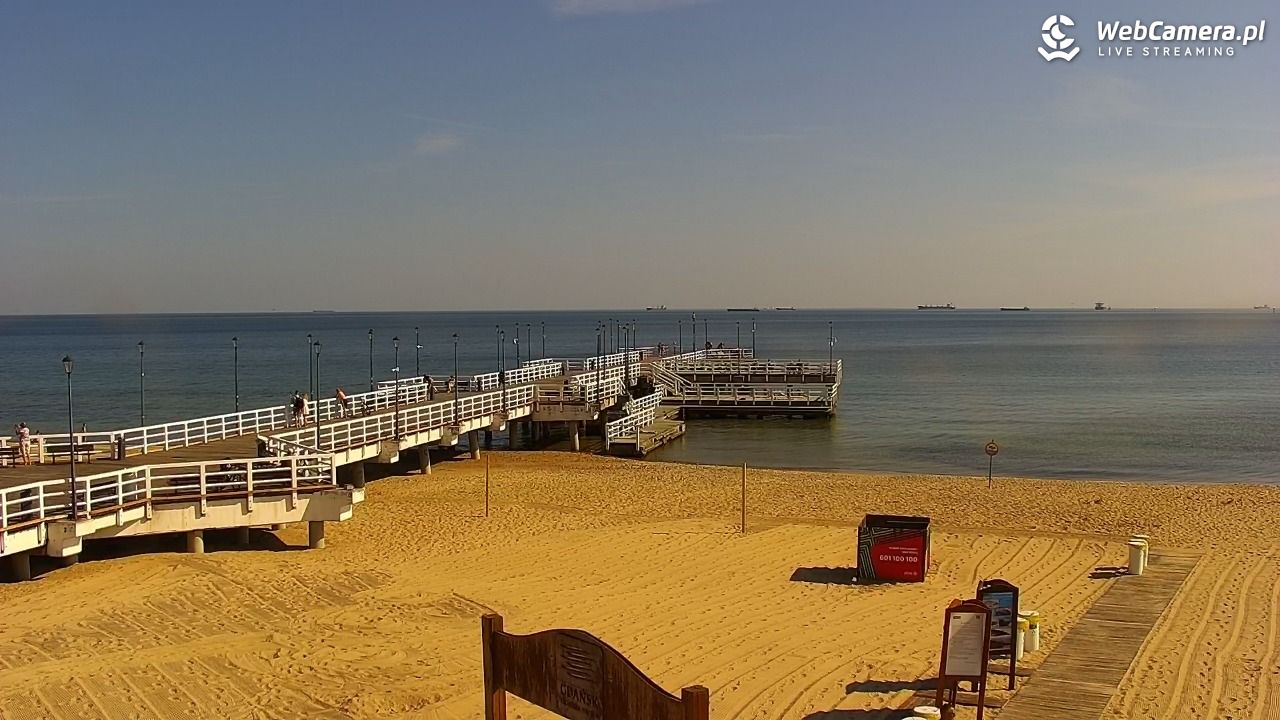 W Gdańsku można wejść z psem na wszystkie publiczne plaże przez cały rok.