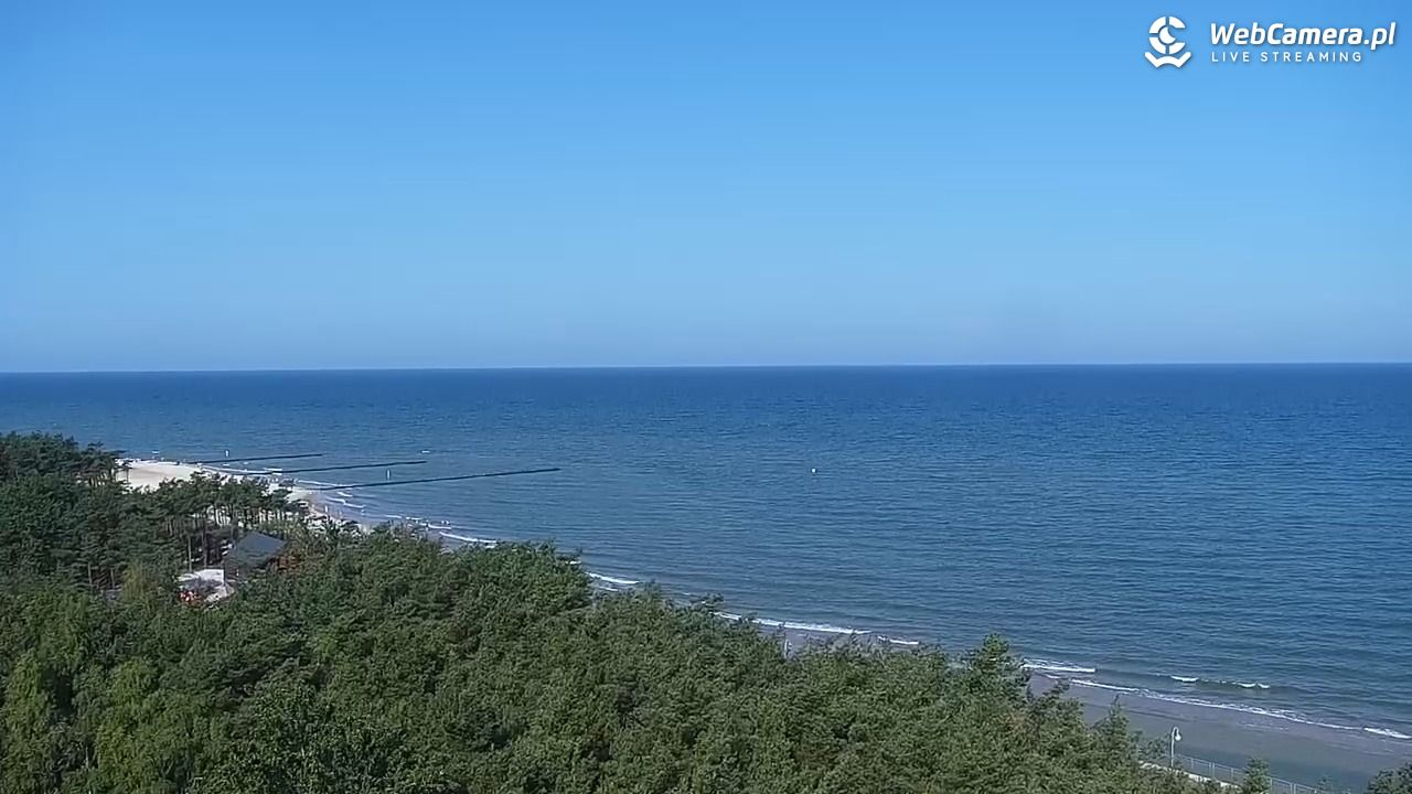 Plaża dla psów Rowy