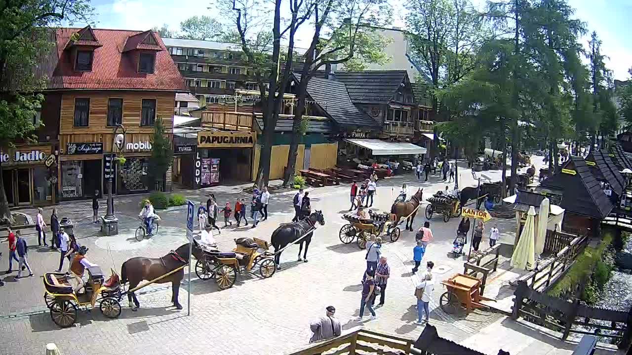 Zaprzęgi konne, fiakrzy, górale i turyści na Krupówkach Dolnych 