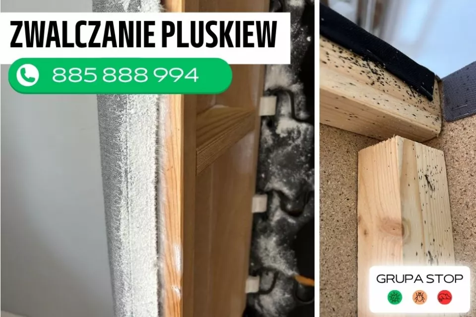zwalczanie pluskiew