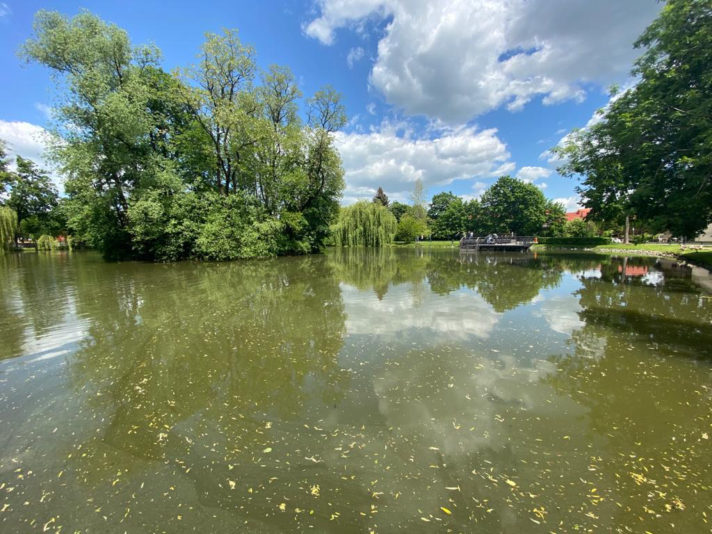 Z apartamentu A3 masz cudny widok na staw i park. 