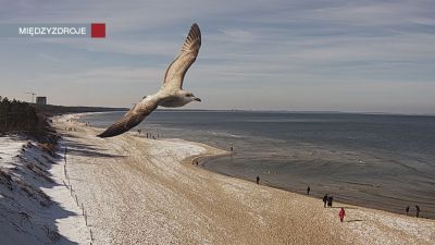 Widok z Kamery na plażę w Międzyzdrojach 