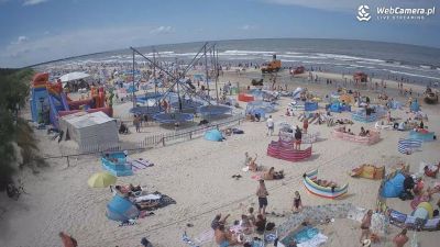 Jantar. Łańcuch życia, poszukiwania na plaży 