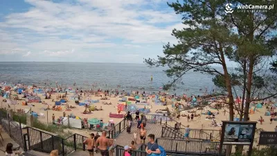 Stegna - lato nad morzem - wakacje 2025 Plaża w Stegnie pełna wypoczywających turystów