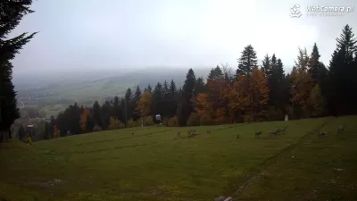 Polska Złota Jesień w Kasinie