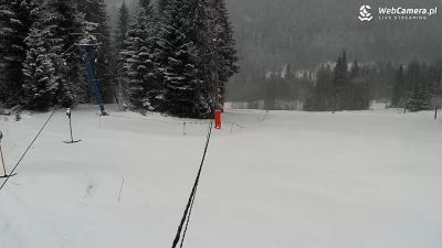 Długa Polana - zamknięta z powowu pandemii koronawirusa. Widok z Kamery na część trasy na Długiej Polanie koło Nowego-Targu