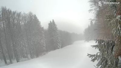 Środek sezonu narciarskiego a na stokach pustki - Magura Ski - styczeń 2021r Stok położony w urokliwym miejscu zaśnieżony i pusty - Magura Ski
