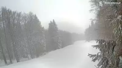 Stok położony w urokliwym miejscu zaśnieżony i pusty - Magura Ski 