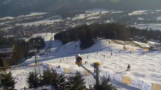 Widok z Kamery na dolny odcinek Polany Szymoszkowej na Podhalu.