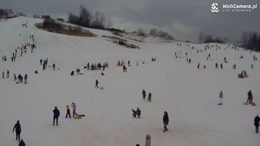 Jak dzieci spędzają wolny czas w okresie ferii zimowych 2021 roku?