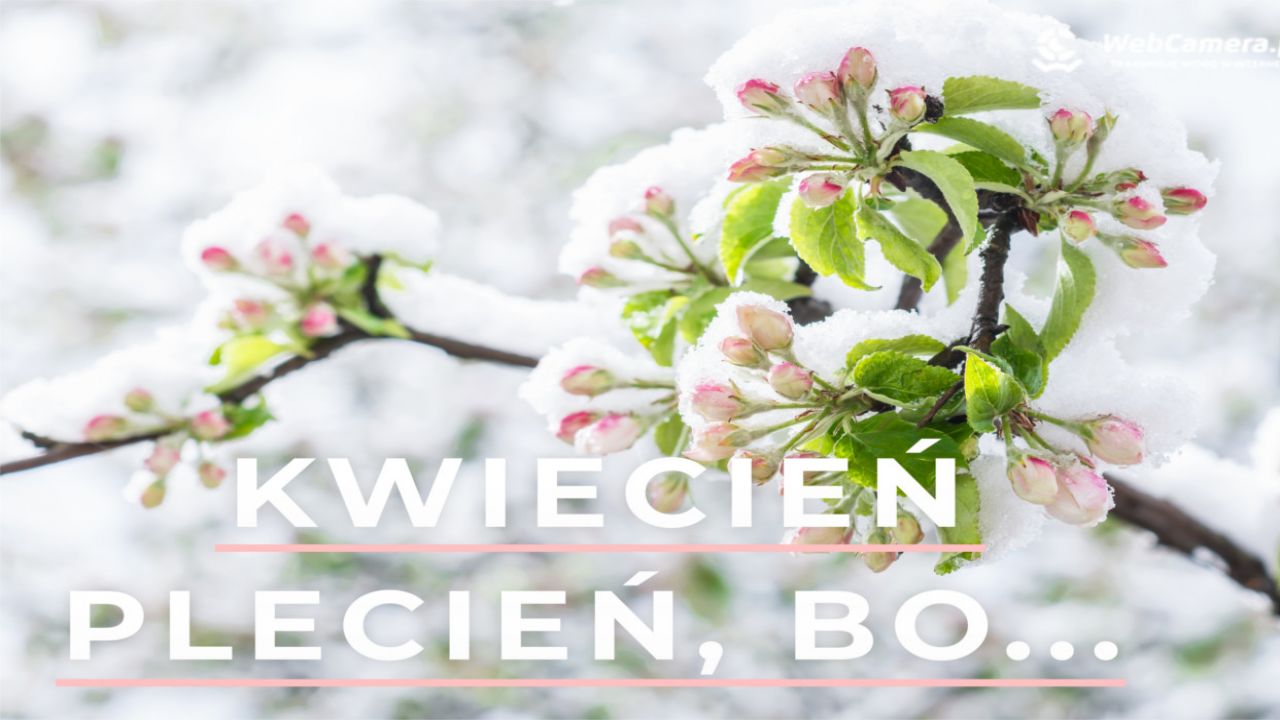 Kwiecień Plecień Bo Przeplata Trochę Zimy Trochę Lata Wiersz KWIECIEŃ PLECIEŃ, BO PRZEPLATA TROCHĘ ZIMY, TROCHĘ LATA...